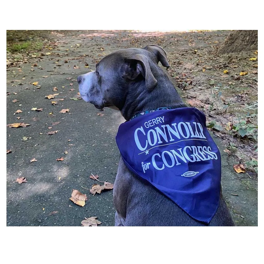 Dog Bandana